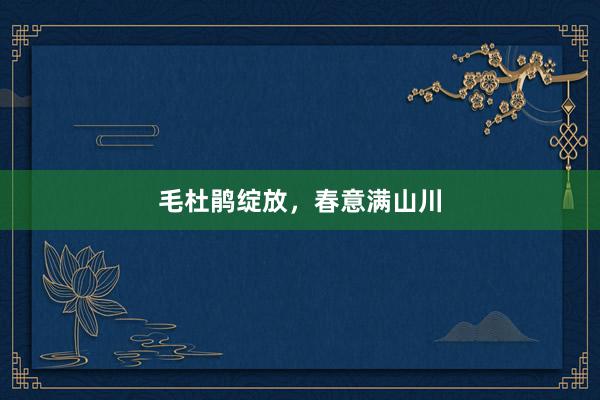 毛杜鹃绽放，春意满山川