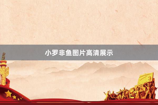 小罗非鱼图片高清展示